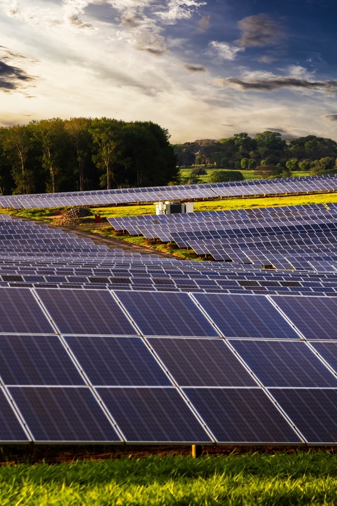 Panneaux Solaires et Énergie Verte au Coucher du Soleil Grandes rangées de panneaux photovoltaïques en production dans un champ au coucher du soleil. Ciel spectaculaire et arbres en arrière-plan.